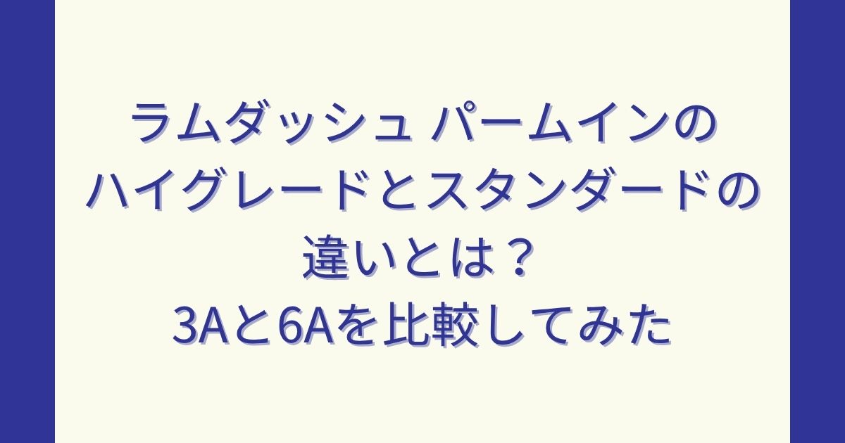 ラムダッシュ パームインのハイグレードとスタンダードの違いとは？3Aと6Aを比較してみた